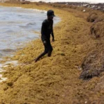 EE.UU. cierra oficina de la DEA en República Dominicana en medio de escándalo de corrupción